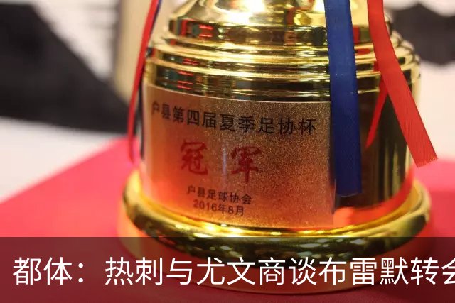 都体：热刺与尤文商谈布雷默转会，可能将维卡里奥纳入交易